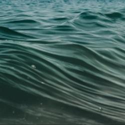 Climate on the Books: The Impact of Climate Change on our Laws and Economy