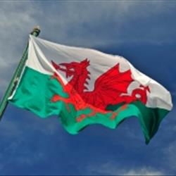 Dragons of Justice: igniting environmental careers in Wales